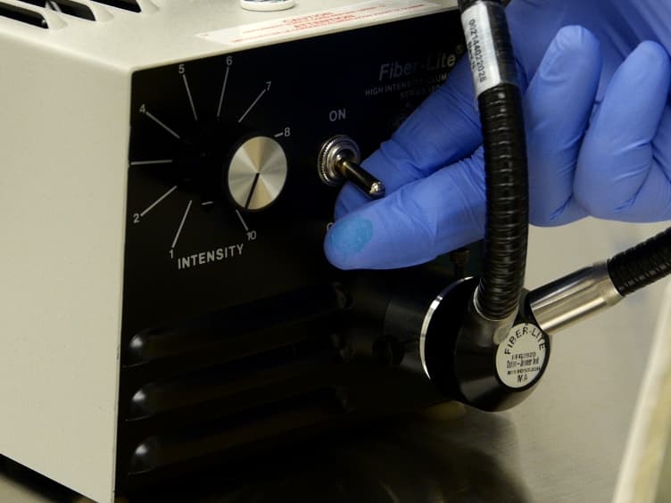 An Improved Method for Rapid Intubation of the Trachea in Mice