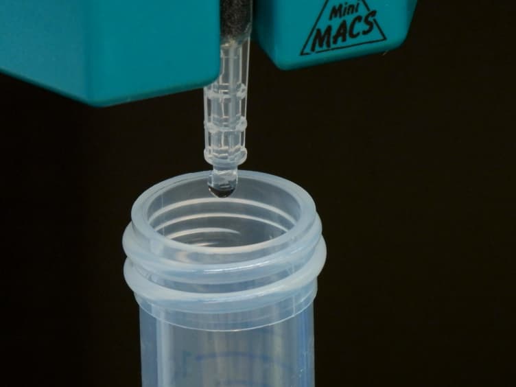 Immunomagnetic Separation of Fat Depot-specific Sca1<sup>high</sup> Adipose-derived Stem Cells (ASCs)