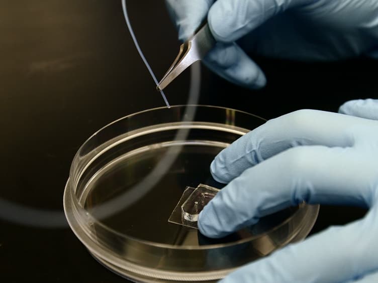 Development and Characterization of <em>In Vitro</em> Microvessel Network and Quantitative Measurements of Endothelial [Ca<sup>2+</sup>]<sub>i </sub>and Nitric Oxide Production
