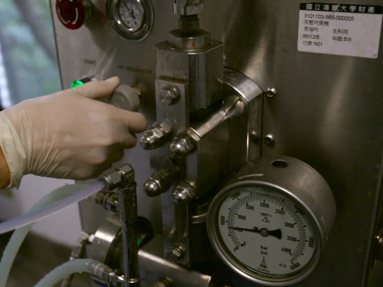One-step Negative Chromatographic Purification of <em>Helicobacter pylori</em> Neutrophil-activating Protein Overexpressed in <em>Escherichia coli</em> in Batch Mode