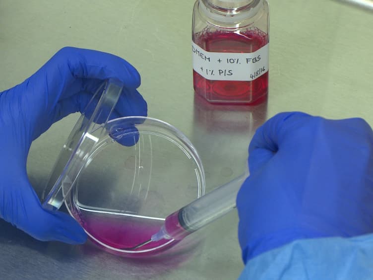 Optimal Lentivirus Production and Cell Culture Conditions Necessary to Successfully Transduce Primary Human Bronchial Epithelial Cells