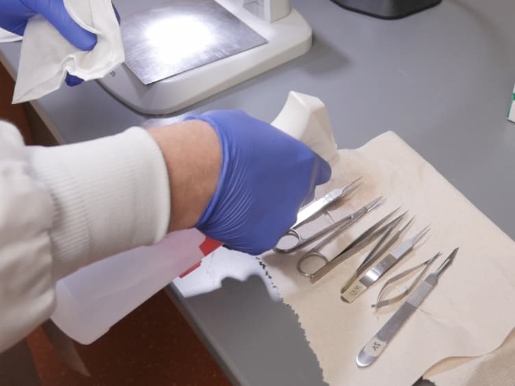 The Fibular Nerve Injury Method: A Reliable Assay to Identify and Test Factors That Repair Neuromuscular Junctions
