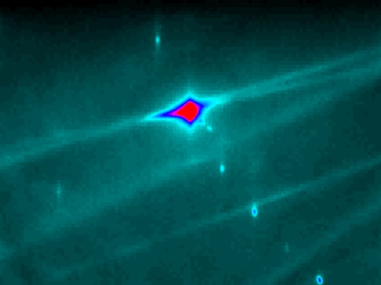 Epitaxial Growth of Perovskite Strontium Titanate on Germanium via Atomic Layer Deposition