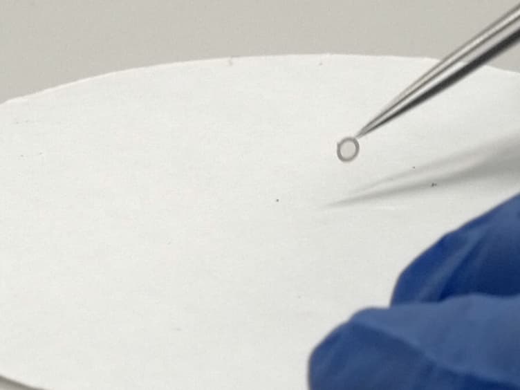 Correlative Light- and Electron Microscopy Using Quantum Dot Nanoparticles