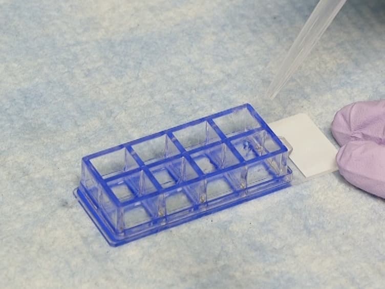 A Method of Targeted Cell Isolation via Glass Surface Functionalization