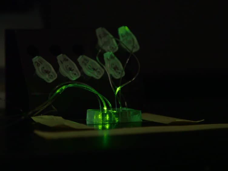 SNARE-mediated Fusion of Single Proteoliposomes with Tethered Supported Bilayers in a Microfluidic Flow Cell Monitored by Polarized TIRF Microscopy