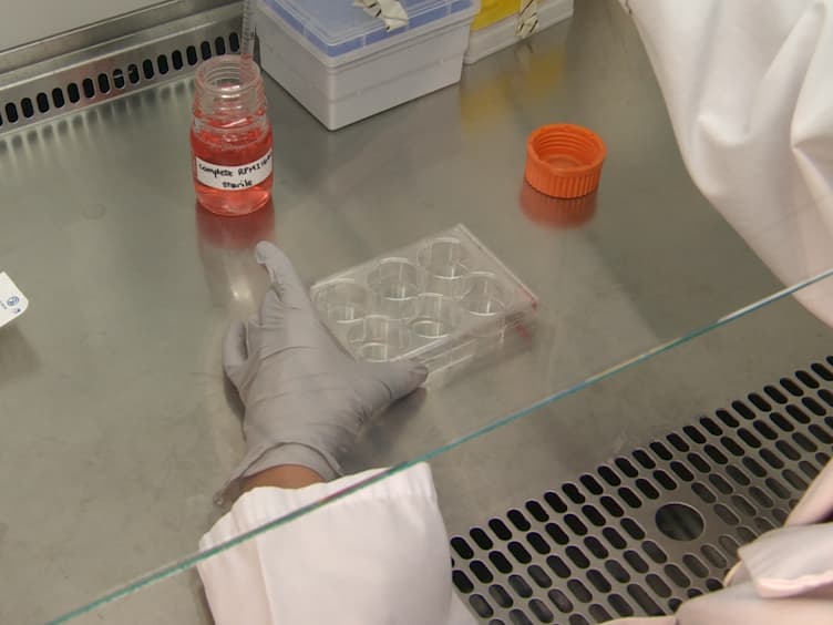 Preparation and Applications of Organotypic Thymic Slice Cultures