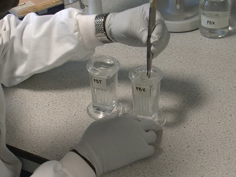 Detection of Modified Forms of Cytosine Using Sensitive Immunohistochemistry