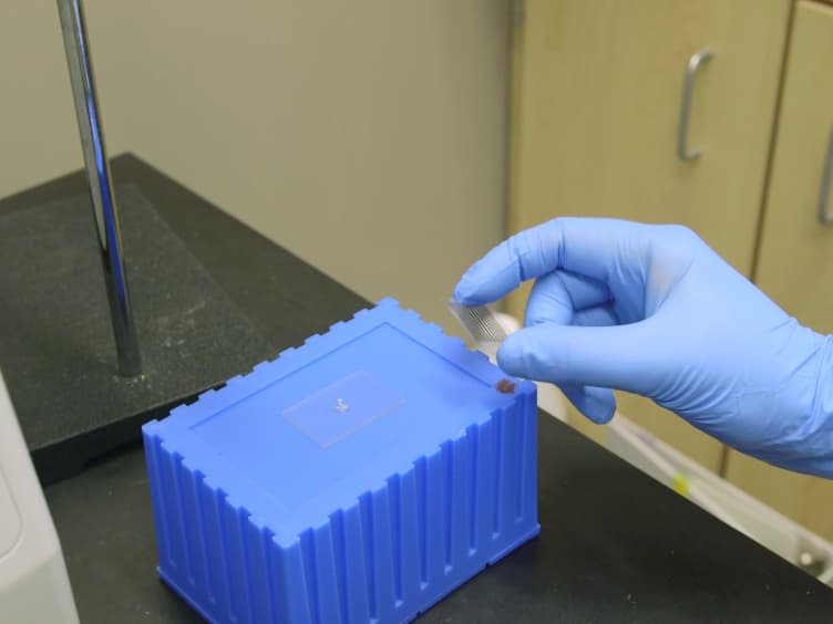 Light-mediated Formation and Patterning of Hydrogels for Cell Culture Applications