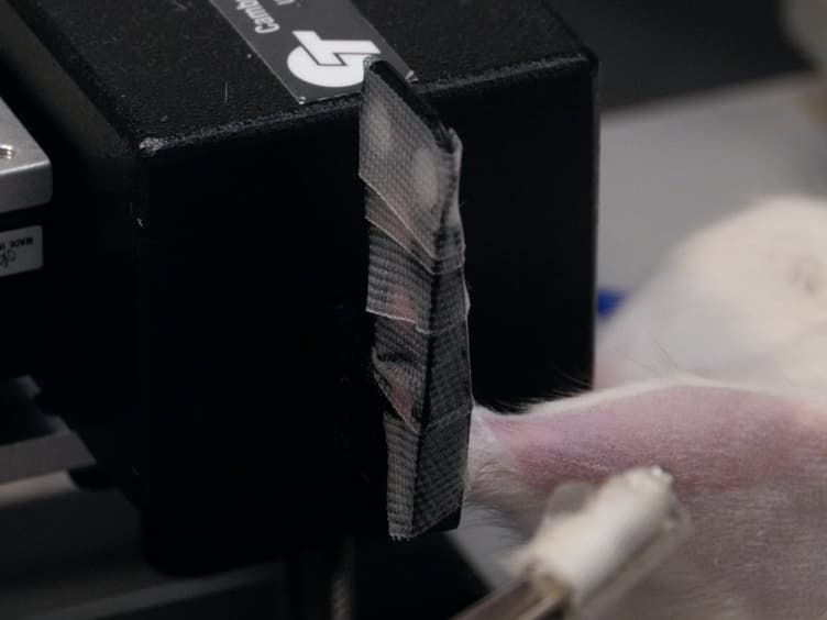 Applications of In Vivo Functional Testing of the Rat Tibialis Anterior for Evaluating Tissue Engineered Skeletal Muscle Repair