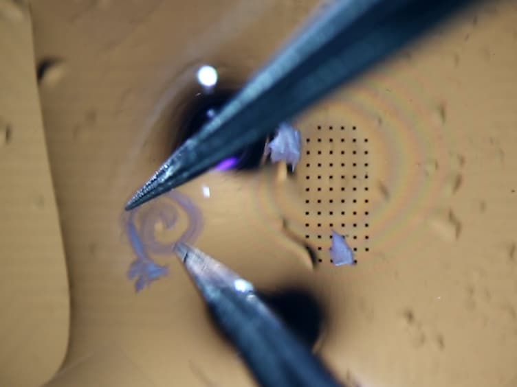Spiral Ganglion Neuron Explant Culture and Electrophysiology on Multi Electrode Arrays