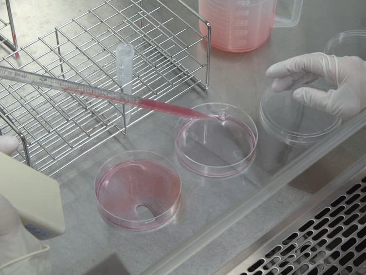 Creation and Transplantation of an Adipose-derived Stem Cell ASC Sheet in a Diabetic Wound-healing Model