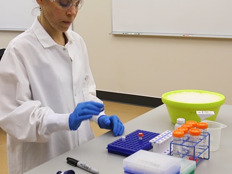 Antibody Labeling with Fluorescent Dyes Using Magnetic Protein A and Protein G Beads