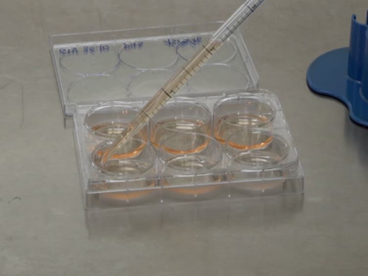 Rapid and Efficient Generation of Recombinant Human Pluripotent Stem Cells by Recombinase-mediated Cassette Exchange in the <em>AAVS1</em> Locus
