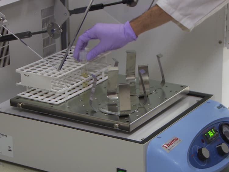 Simple and Efficient Production and Purification of Mouse Myelin Oligodendrocyte Glycoprotein for Experimental Autoimmune Encephalomyelitis Studies