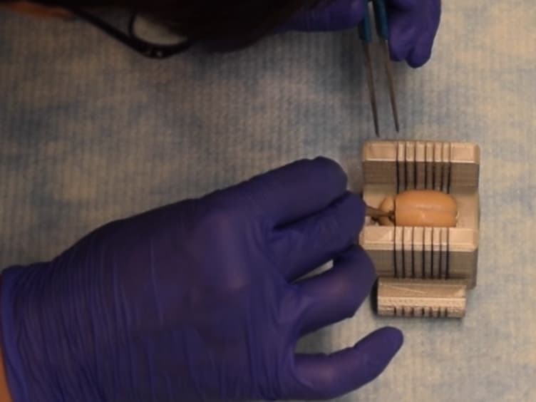 Utilizing 3D Printing Technology to Merge MRI with Histology: A Protocol for Brain Sectioning