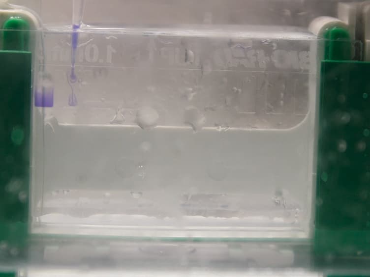 Combining Wet and Dry Lab Techniques to Guide the Crystallization of Large Coiled-coil Containing Proteins
