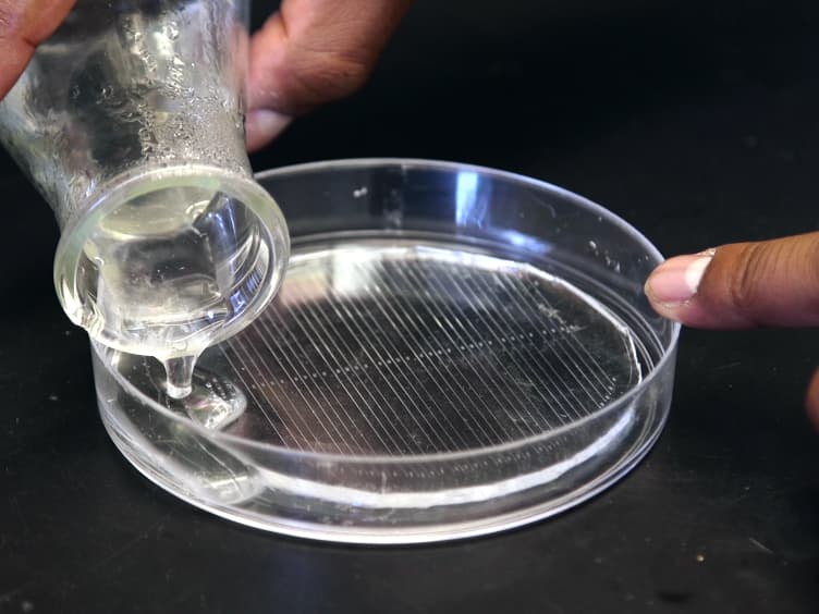 Using Linear Agarose Channels to Study <em>Drosophila</em> Larval Crawling Behavior