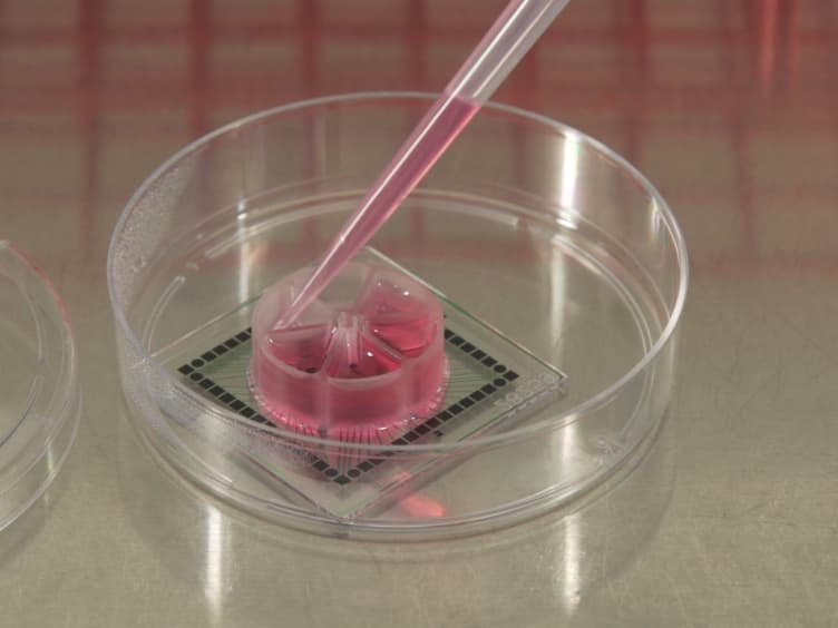 Rapid Neuronal Differentiation of Induced Pluripotent Stem Cells for Measuring Network Activity on Micro-electrode Arrays