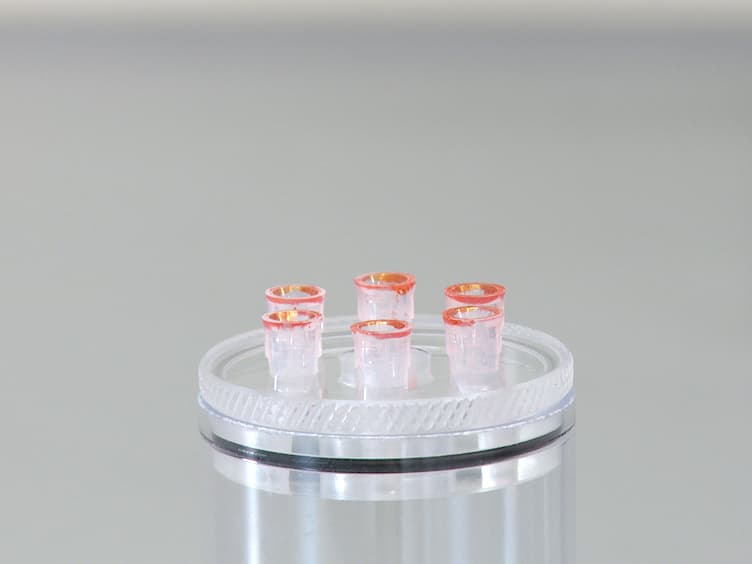 The CApillary FEeder Assay Measures Food Intake in <em>Drosophila melanogaster</em>