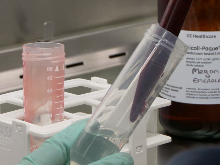 Use of a Monocyte Monolayer Assay to Evaluate Fcγ Receptor-mediated Phagocytosis