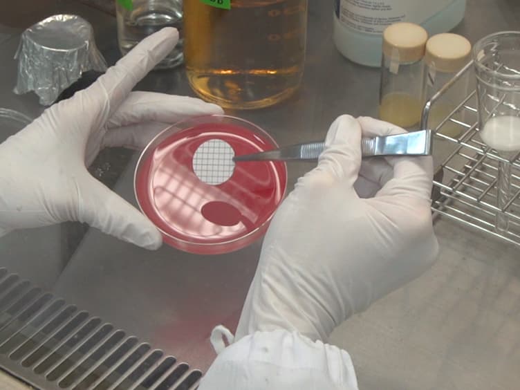 Methodology for the Study of Horizontal Gene Transfer in Staphylococcus aureus