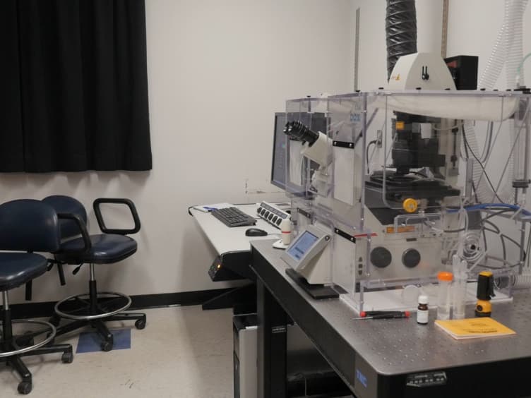 Live Cell Imaging and 3D Analysis of Angiotensin Receptor Type 1a Trafficking in Transfected Human Embryonic Kidney Cells Using Confocal Microscopy