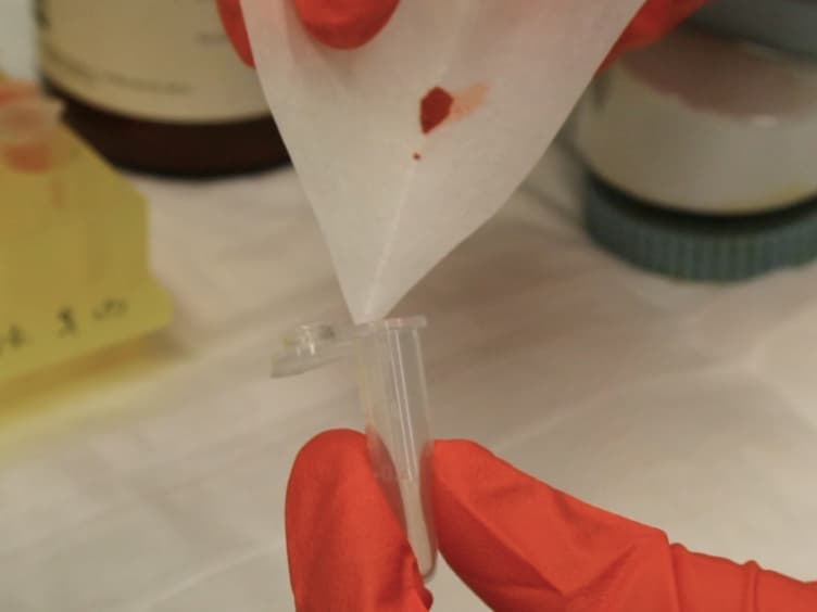 Quantification of Drosophila Grooming Behavior