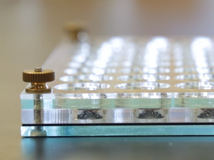 Measuring and Altering Mating Drive in Male <em>Drosophila melanogaster</em>