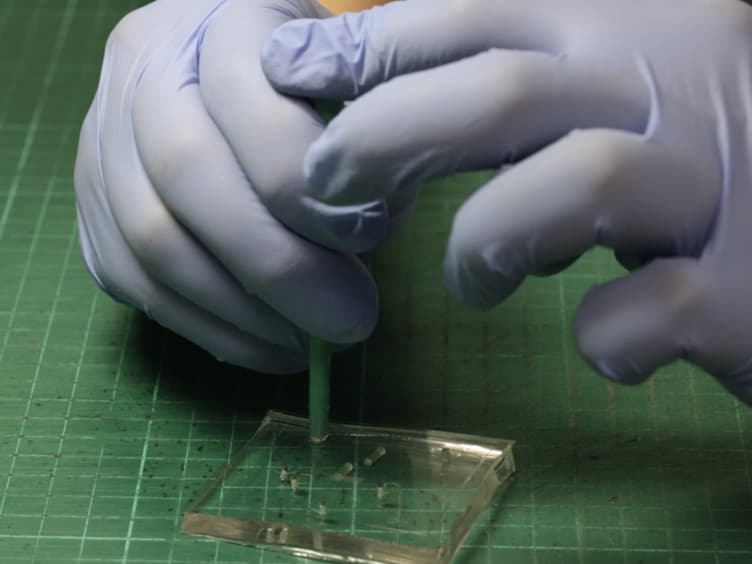 Polydimethylsiloxane-polycarbonate Microfluidic Devices for Cell Migration Studies Under Perpendicular Chemical and Oxygen Gradients
