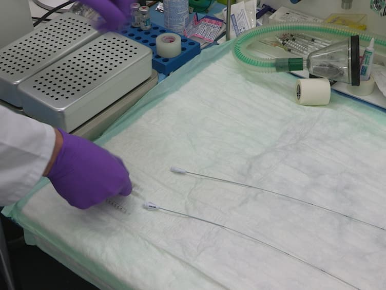 The Rabbit Model of Accelerated Atherosclerosis: A Methodological Perspective of the Iliac Artery Balloon Injury