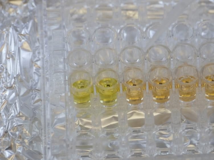 Using Synthetic Biology to Engineer Living Cells That Interface with Programmable Materials