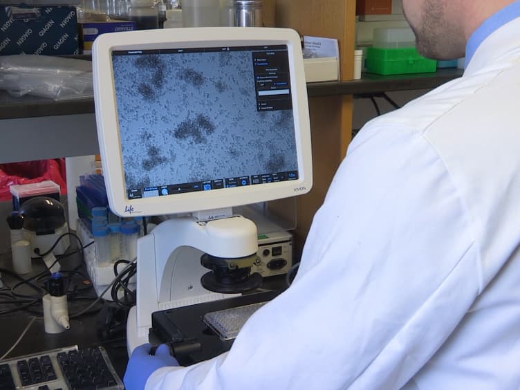 A High-throughput Compatible Assay to Evaluate Drug Efficacy against Macrophage Passaged Mycobacterium tuberculosis