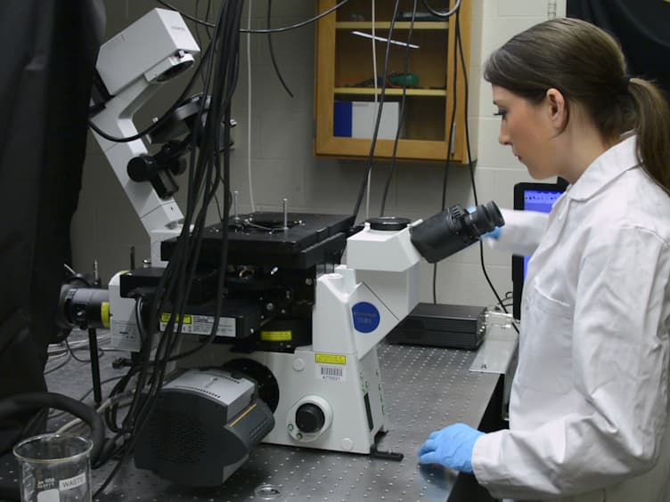 Utilizing pHluorin-tagged Receptors to Monitor Subcellular Localization and Trafficking