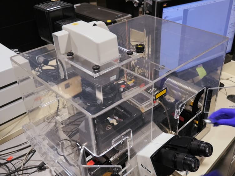 Single Molecule Analysis of Laser Localized Psoralen Adducts