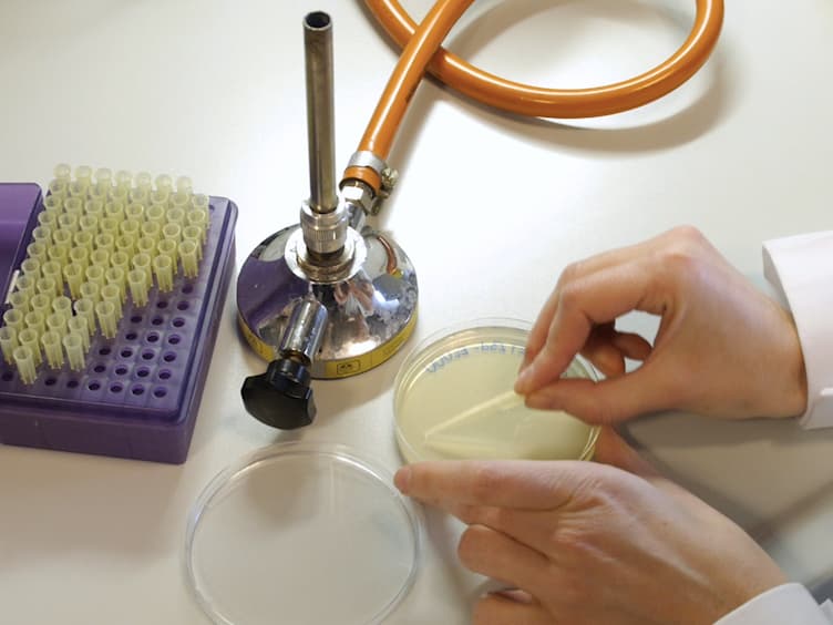 Protein-tRNA Agarose Gel Retardation Assays for the Analysis of the N6-threonylcarbamoyladenosine TcdA Function