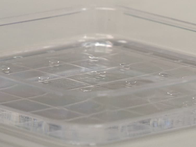 Cardiac Muscle-cell Based Actuator and Self-stabilizing Biorobot - PART 1