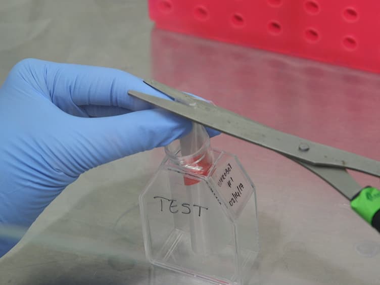 Cardiac Muscle Cell-based Actuator and Self-stabilizing Biorobot - Part 2