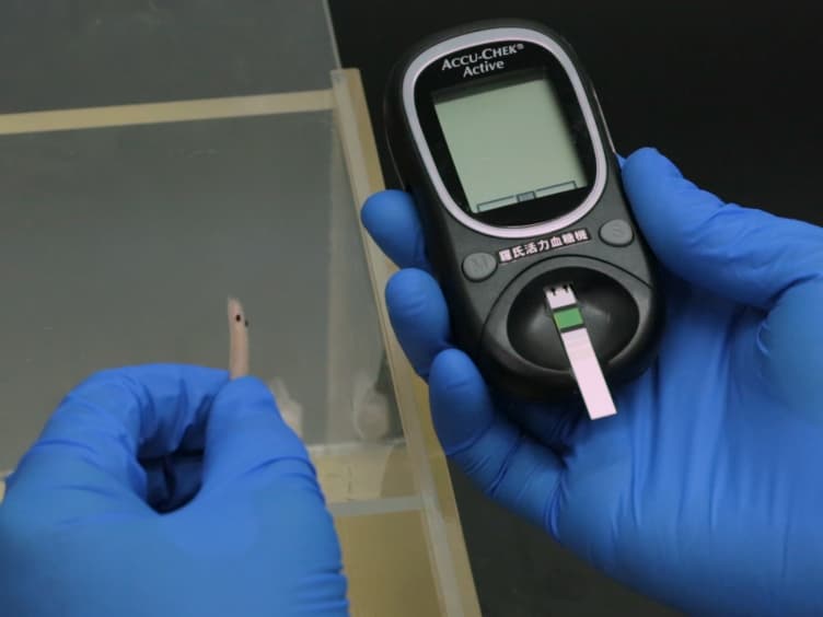 An Ultrasonic Tool for Nerve Conduction Block in Diabetic Rat Models