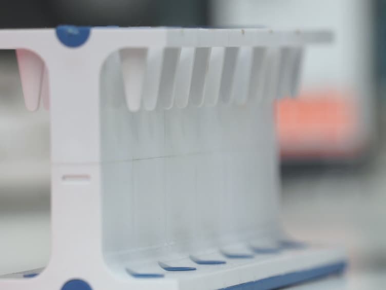 Analysis of the c-KIT Ligand Promoter Using Chromatin Immunoprecipitation