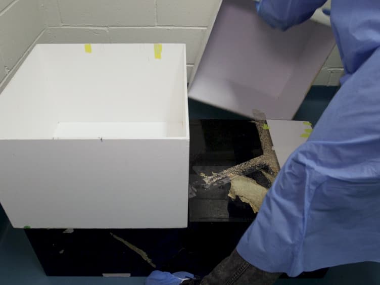 Novel Object Recognition Test for the Investigation of Learning and Memory in Mice