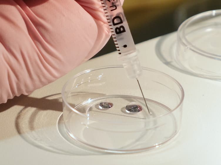 Generation of Genetically Modified Mice through the Microinjection of Oocytes
