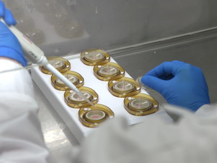 Determining the Optimal Inhibitory Frequency for Cancerous Cells Using Tumor Treating Fields (TTFields)