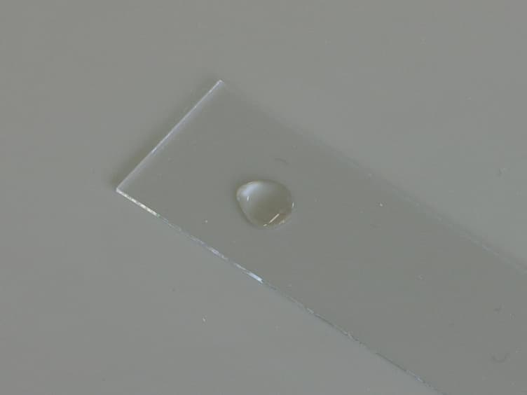 <em>In Vitro</em> Polymerization of F-actin on Early Endosomes