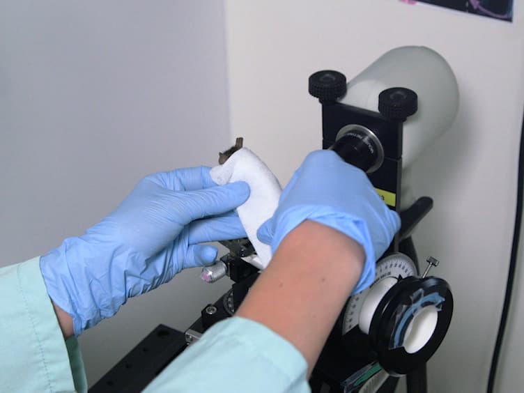 Optical Coherence Tomography: Imaging Mouse Retinal Ganglion Cells In Vivo