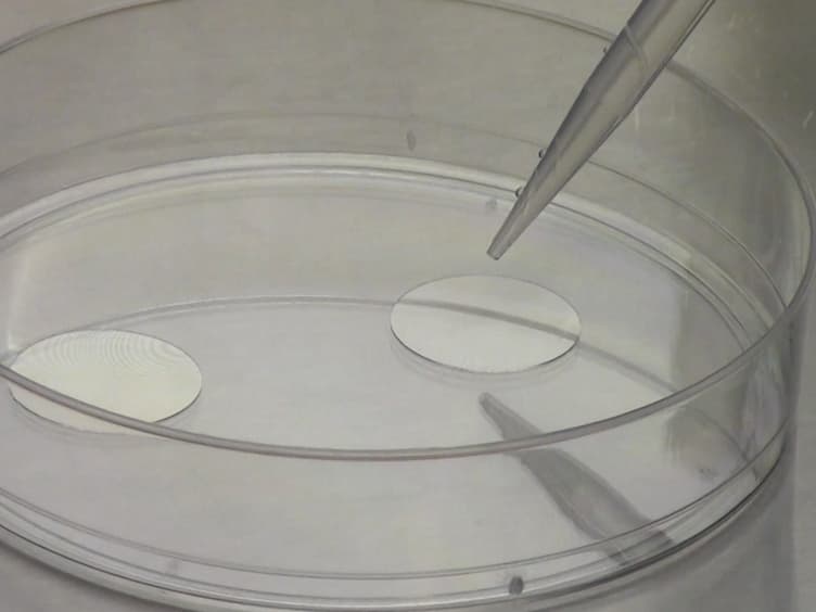 Study of Protein-protein Interactions in Autophagy Research