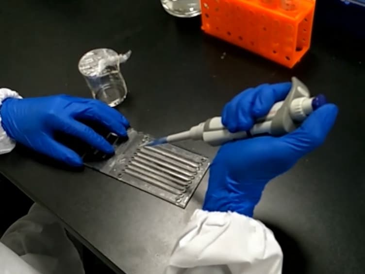 Real-time Tracking of DNA Fragment Separation by Smartphone