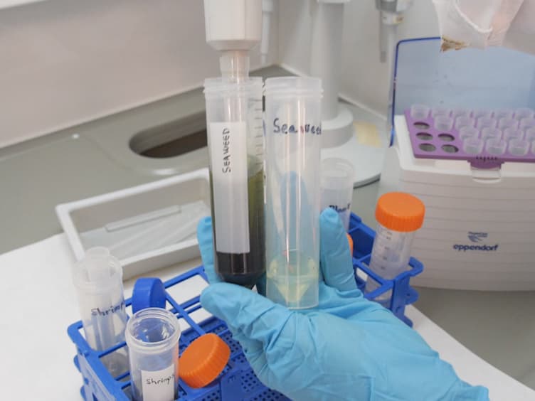 Determination of Inorganic Arsenic in a Wide Range of Food Matrices using Hydride Generation - Atomic Absorption Spectrometry.