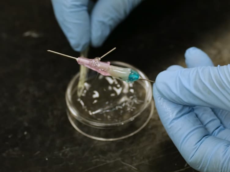 Microfluidic Bioprinting for Engineering Vascularized Tissues and Organoids