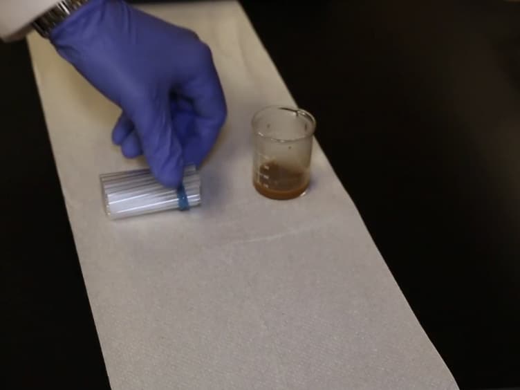 A Computational Method to Quantify Fly Circadian Activity